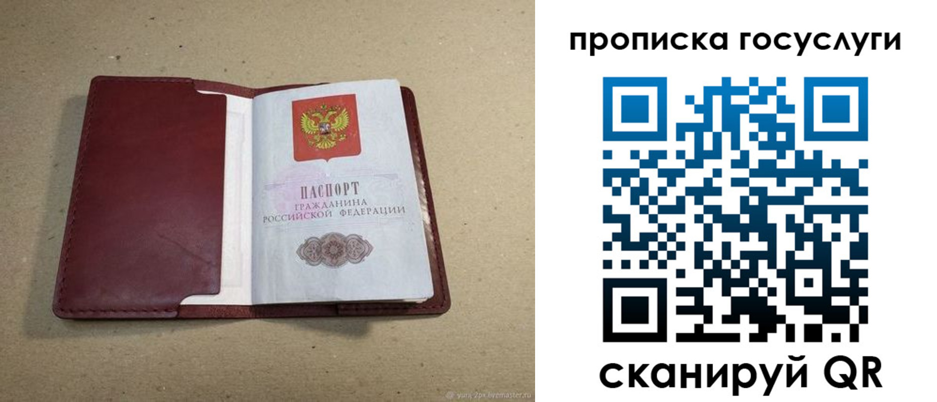 прописка поиск в Тихвине